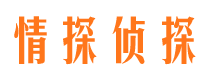 察隅市场调查